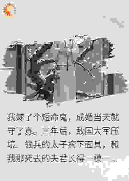守寡三年，敌国太子说他是我早逝的夫君